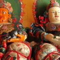IMG_2272.JPG