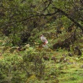 IMG_2399.JPG