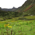 IMG_2402.JPG