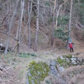 image149_R0002112.JPG