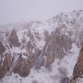 R0008454.JPG