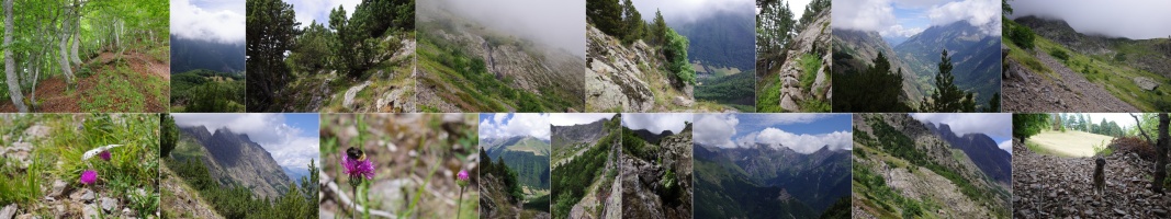 07.07.2025 La Rochette sous Crête Rosière