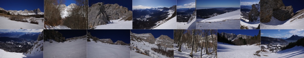18.01.2025 Petite Moucherolle